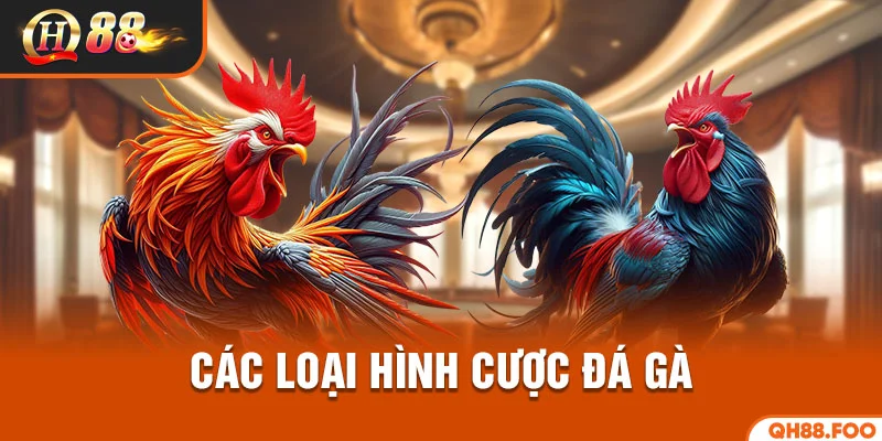 Các loại hình cược đá gà
