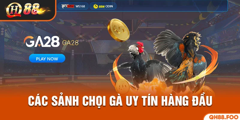 Các sảnh đá gà hàng đầu