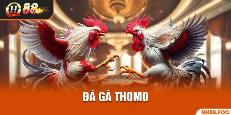 Đá gà thomo