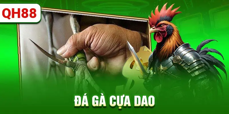 Kiểm tra chiến kê