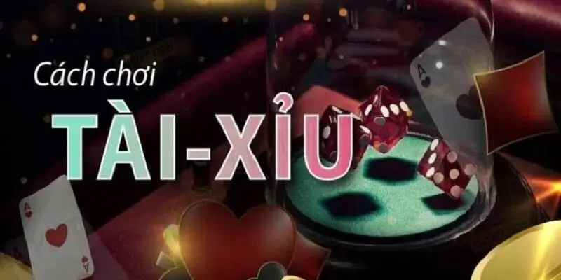 Tổng quan về cách chơi tài xỉu