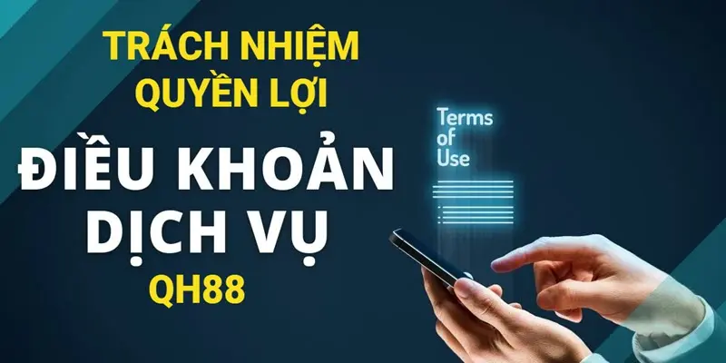 Trách nhiệm và quyền lợi trong điều khoản dịch vụ
