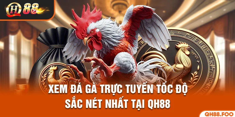 Xem đá gà trực tuyến tốc độ sắc nét nhất tại qh88